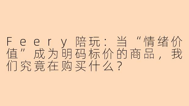 Feery陪玩:当“情绪价值”成为明码标价的商品,我们究竟在购买什么?