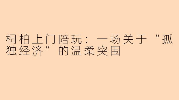 桐柏上门陪玩:一场关于“孤独经济”的温柔突围