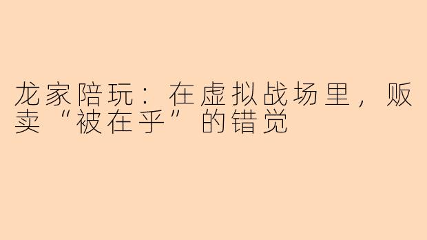 龙家陪玩：在虚拟战场里，贩卖“被在乎”的错觉
