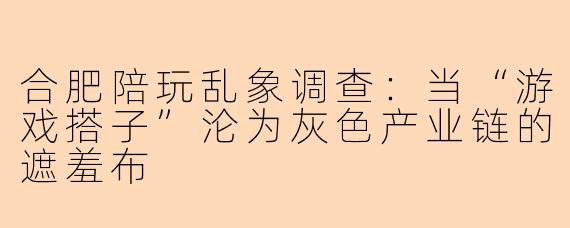 合肥陪玩乱象调查：当“游戏搭子”沦为灰色产业链的遮羞布