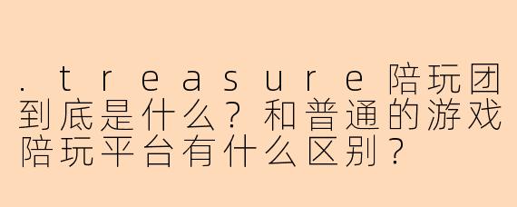 .treasure陪玩团到底是什么?和普通的游戏陪玩平台有什么区别?