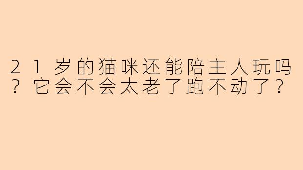 21岁的猫咪还能陪主人玩吗?它会不会太老了跑不动了?