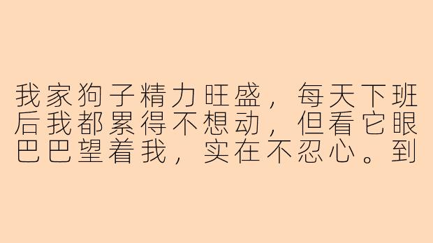 我家狗子精力旺盛,每天下班后我都累得不想动,但看它眼巴巴望着我,实在不忍心。到底该怎么高效陪它玩,才能既让它开心,又不太消耗我的体力?