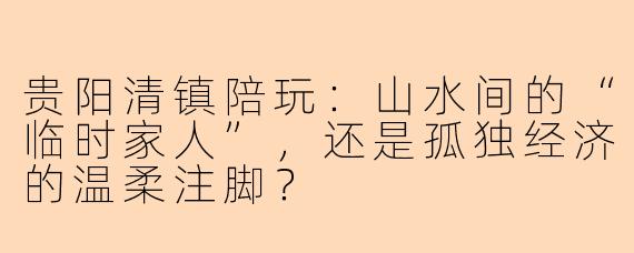 贵阳清镇陪玩:山水间的“临时家人”,还是孤独经济的温柔注脚?