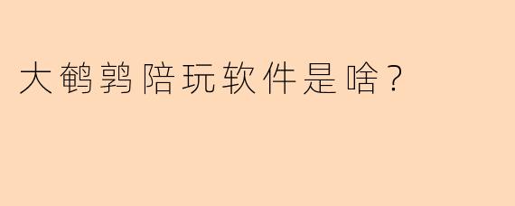 大鹌鹑陪玩软件是啥?