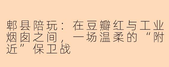 郫县陪玩:在豆瓣红与工业烟囱之间,一场温柔的“附近”保卫战