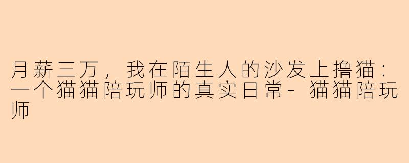 月薪三万，我在陌生人的沙发上撸猫：一个猫猫陪玩师的真实日常-猫猫陪玩师