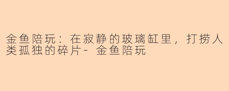 金鱼陪玩:在寂静的玻璃缸里,打捞人类孤独的碎片-金鱼陪玩