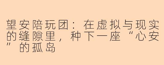 望安陪玩团:在虚拟与现实的缝隙里,种下一座“心安”的孤岛