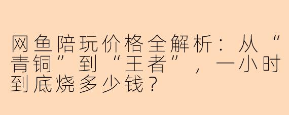 网鱼陪玩价格全解析:从“青铜”到“王者”,一小时到底烧多少钱?