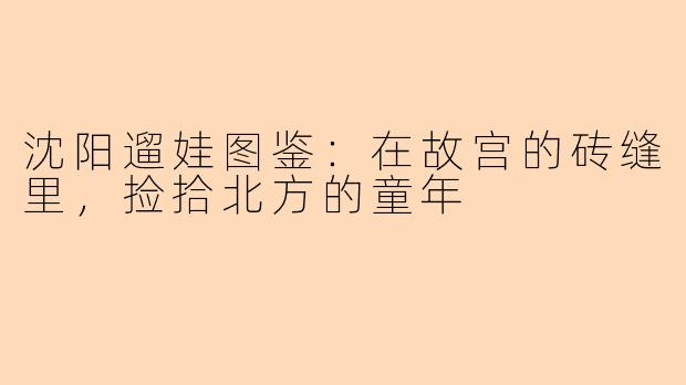 沈阳遛娃图鉴:在故宫的砖缝里,捡拾北方的童年