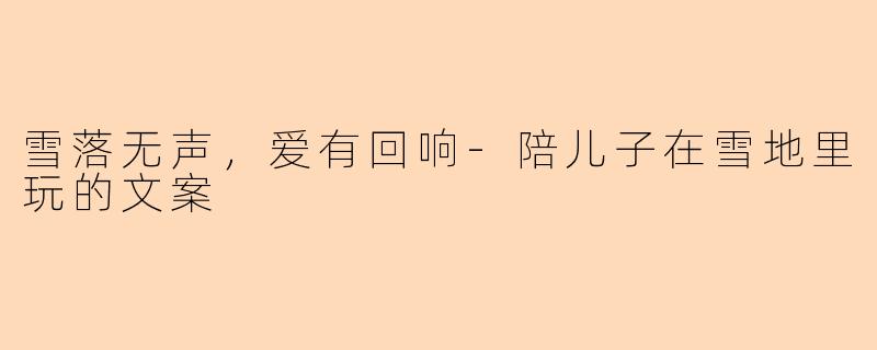 雪落无声,爱有回响-陪儿子在雪地里玩的文案