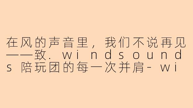 在风的声音里,我们不说再见——致.windsounds陪玩团的每一次并肩-windsounds陪玩团