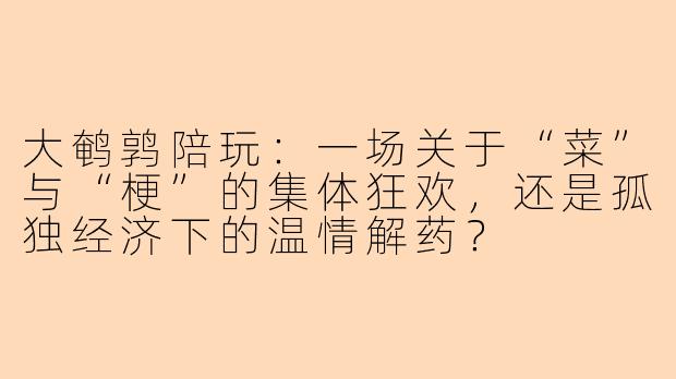 大鹌鹑陪玩:一场关于“菜”与“梗”的集体狂欢,还是孤独经济下的温情解药?