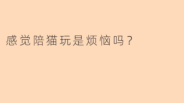 感觉陪猫玩是烦恼吗？