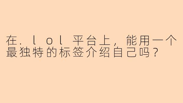 在.lol平台上，能用一个最独特的标签介绍自己吗？