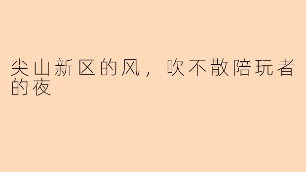 尖山新区的风,吹不散陪玩者的夜
