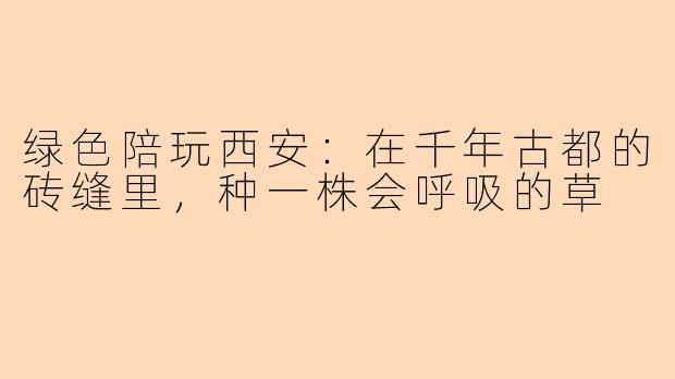 绿色陪玩西安:在千年古都的砖缝里,种一株会呼吸的草