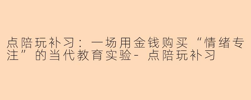 点陪玩补习：一场用金钱购买“情绪专注”的当代教育实验-点陪玩补习