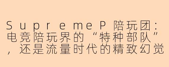 SupremeP陪玩团:电竞陪玩界的“特种部队”,还是流量时代的精致幻觉?