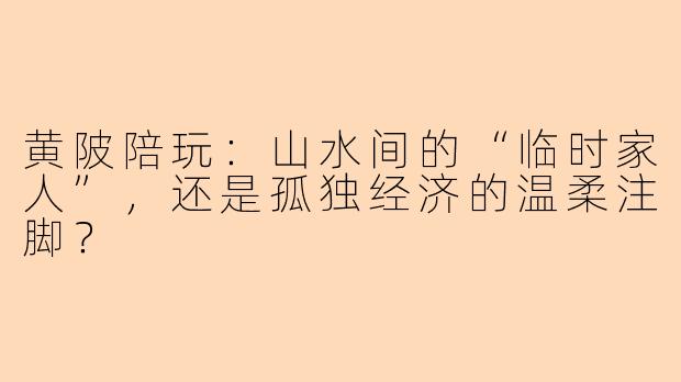 黄陂陪玩:山水间的“临时家人”,还是孤独经济的温柔注脚?