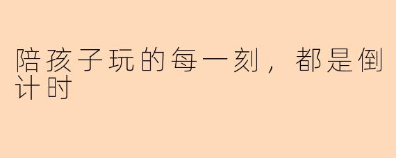 陪孩子玩的每一刻，都是倒计时