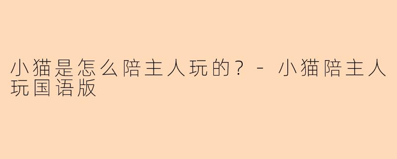 小猫是怎么陪主人玩的？