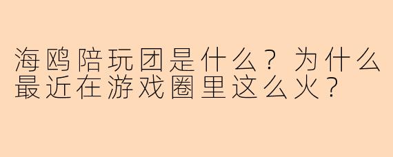 海鸥陪玩团是什么?为什么最近在游戏圈里这么火?