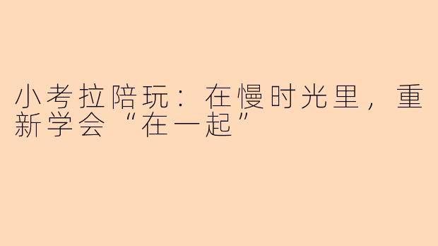 小考拉陪玩:在慢时光里,重新学会“在一起”
