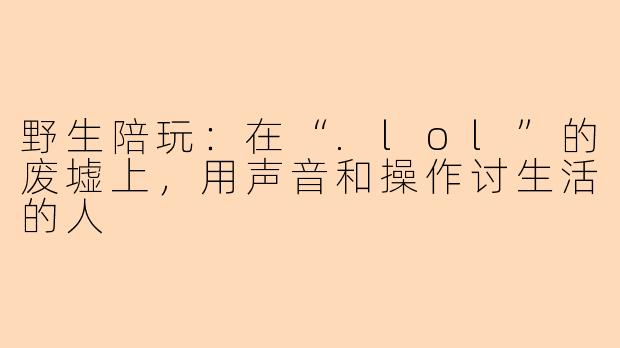 野生陪玩:在“.lol”的废墟上,用声音和操作讨生活的人
