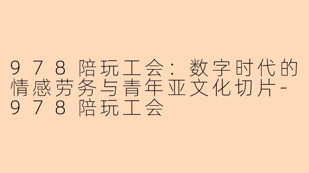 978陪玩工会:数字时代的情感劳务与青年亚文化切片-978陪玩工会