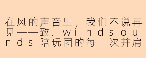 在风的声音里,我们不说再见——致.windsounds陪玩团的每一次并肩