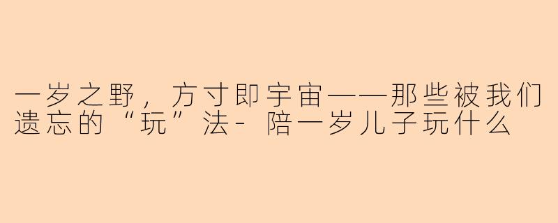 一岁之野,方寸即宇宙——那些被我们遗忘的“玩”法-陪一岁儿子玩什么