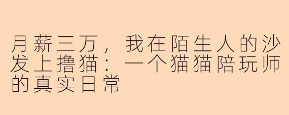 月薪三万，我在陌生人的沙发上撸猫：一个猫猫陪玩师的真实日常