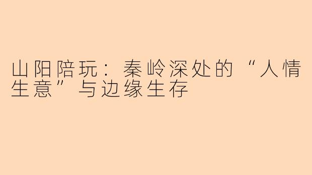 山阳陪玩:秦岭深处的“人情生意”与边缘生存