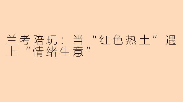 兰考陪玩：当“红色热土”遇上“情绪生意”