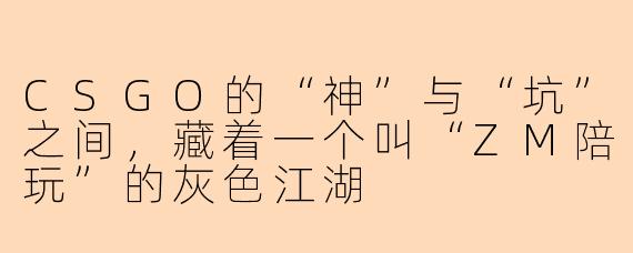 CSGO的“神”与“坑”之间,藏着一个叫“ZM陪玩”的灰色江湖