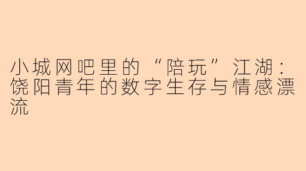 小城网吧里的“陪玩”江湖:饶阳青年的数字生存与情感漂流