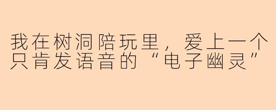 我在树洞陪玩里，爱上一个只肯发语音的“电子幽灵”