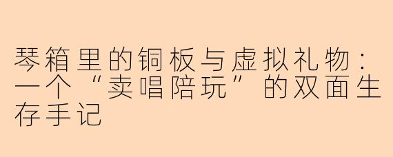 琴箱里的铜板与虚拟礼物:一个“卖唱陪玩”的双面生存手记