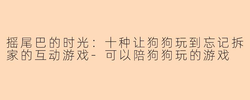 摇尾巴的时光:十种让狗狗玩到忘记拆家的互动游戏-可以陪狗狗玩的游戏