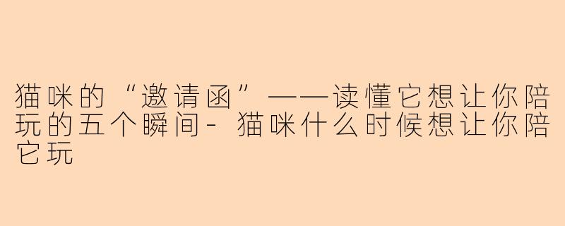 猫咪的“邀请函”——读懂它想让你陪玩的五个瞬间-猫咪什么时候想让你陪它玩
