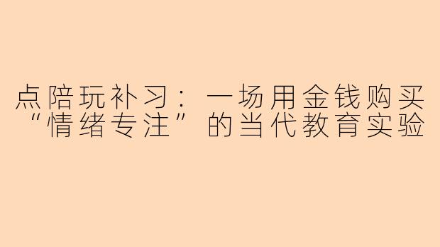 点陪玩补习：一场用金钱购买“情绪专注”的当代教育实验