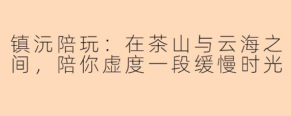镇沅陪玩:在茶山与云海之间,陪你虚度一段缓慢时光