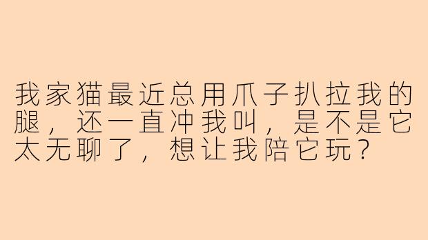 我家猫最近总用爪子扒拉我的腿，还一直冲我叫，是不是它太无聊了，想让我陪它玩？