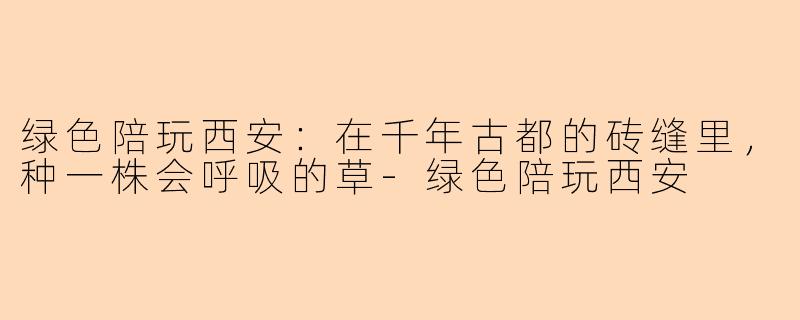 绿色陪玩西安:在千年古都的砖缝里,种一株会呼吸的草-绿色陪玩西安