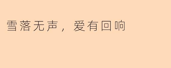 雪落无声,爱有回响