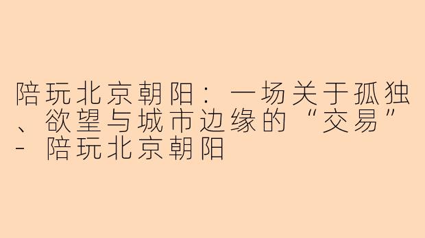 陪玩北京朝阳：一场关于孤独、欲望与城市边缘的“交易”-陪玩北京朝阳
