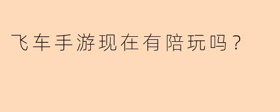 飞车手游现在有陪玩吗？
