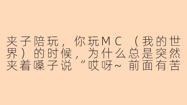 夹子陪玩，你玩MC（我的世界）的时候，为什么总是突然夹着嗓子说“哎呀~前面有苦力怕，好怕怕~”，但下一秒就掏出钻石剑把怪秒了？